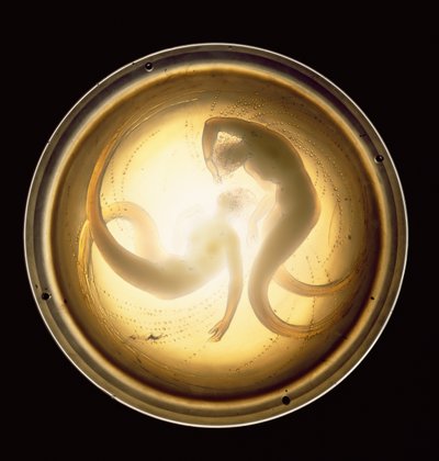 Deux Sirenes Plafonnier by Rene Jules Lalique